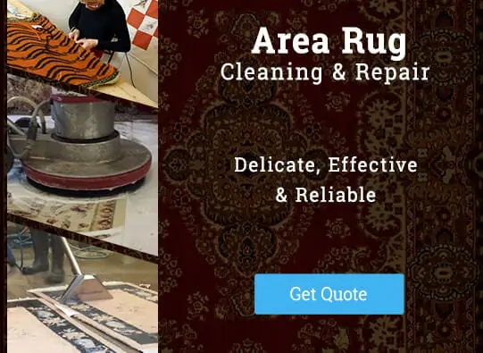 Area Rug Cleaning Services in Brooklyn